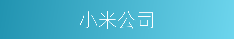 小米公司的同义词