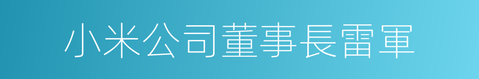 小米公司董事長雷軍的同義詞