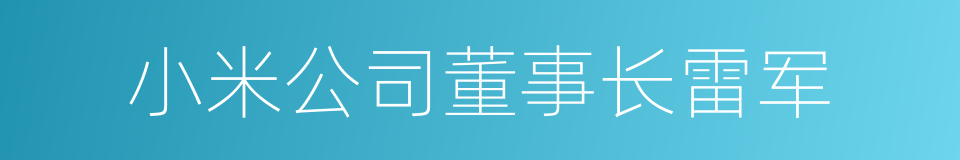 小米公司董事长雷军的同义词