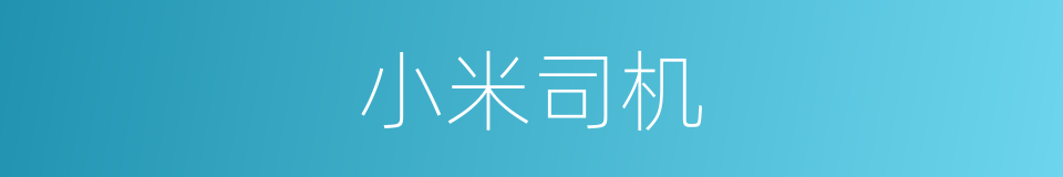 小米司机的同义词