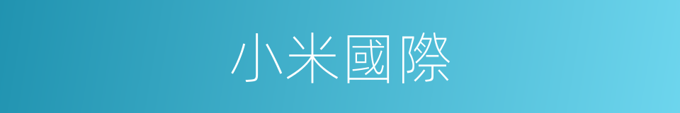 小米國際的同義詞