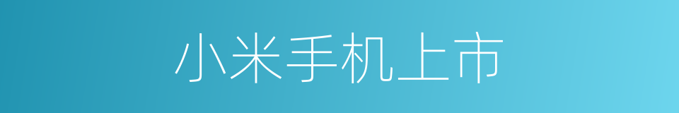 小米手机上市的同义词
