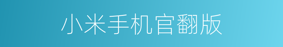 小米手机官翻版的同义词
