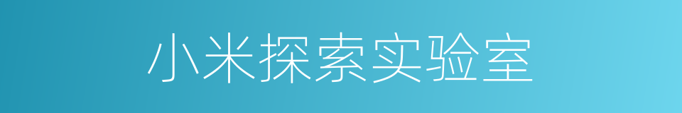 小米探索实验室的同义词