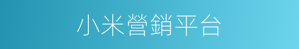 小米營銷平台的同義詞