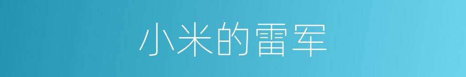 小米的雷军的同义词