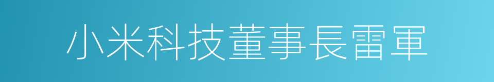 小米科技董事長雷軍的同義詞