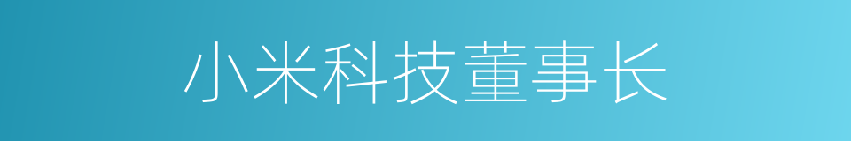 小米科技董事长的同义词