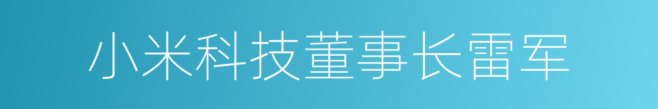 小米科技董事长雷军的同义词