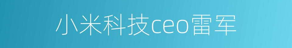 小米科技ceo雷军的同义词