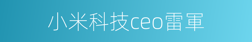 小米科技ceo雷軍的同義詞