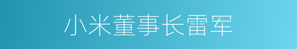 小米董事长雷军的同义词