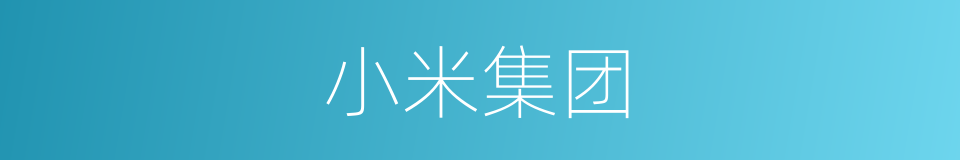 小米集团的同义词