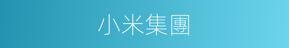 小米集團的同義詞