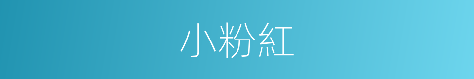 小粉紅的意思