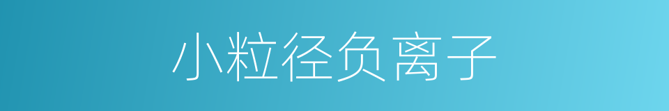 小粒径负离子的同义词