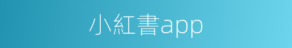 小紅書app的同義詞