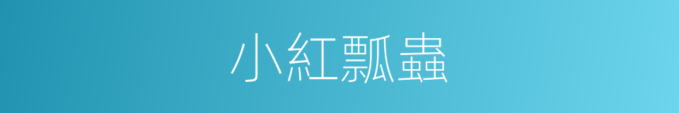小紅瓢蟲的同義詞