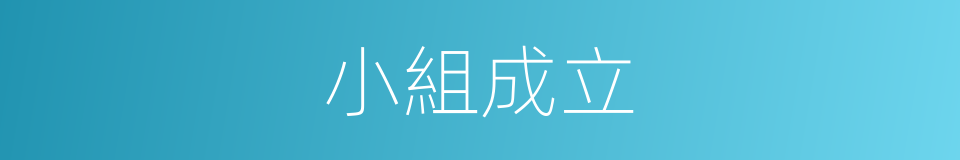 小組成立的同義詞