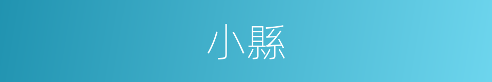 小縣的同義詞