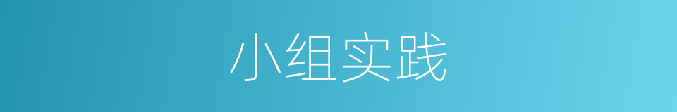 小组实践的同义词