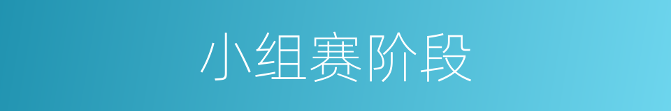 小组赛阶段的同义词