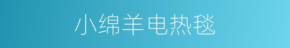 小绵羊电热毯的同义词