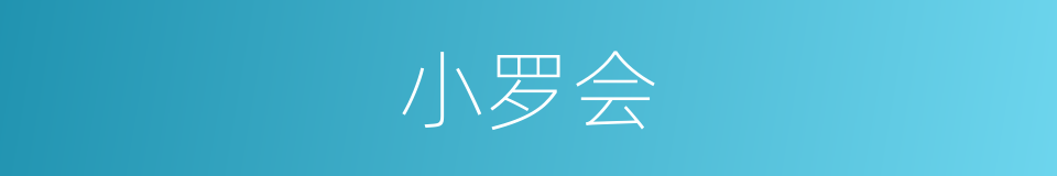 小罗会的同义词