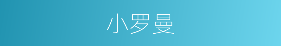 小罗曼的同义词