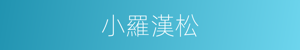 小羅漢松的同義詞