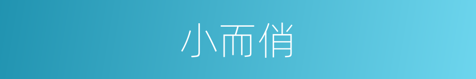 小而俏的同义词