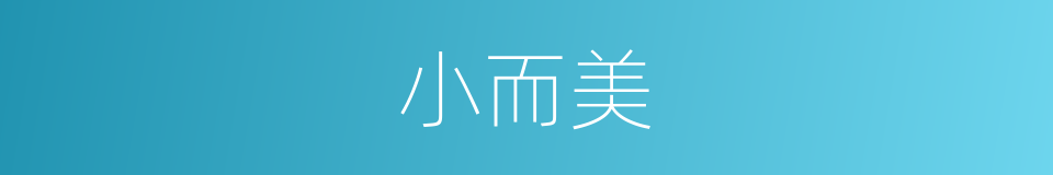 小而美的同义词
