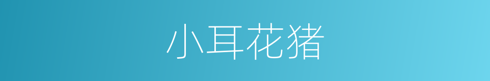 小耳花猪的同义词