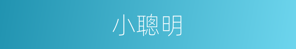 小聰明的意思