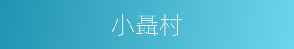 小聶村的同義詞