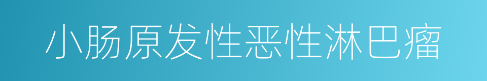 小肠原发性恶性淋巴瘤的同义词
