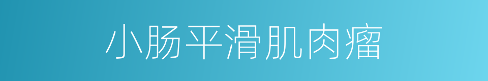 小肠平滑肌肉瘤的同义词