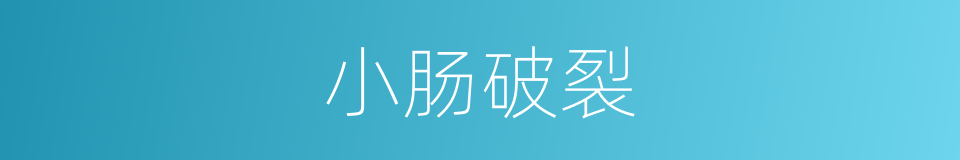 小肠破裂的同义词