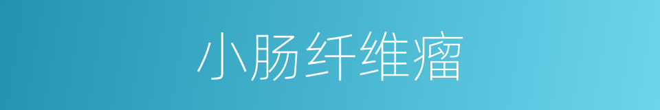 小肠纤维瘤的同义词