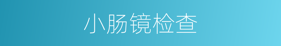 小肠镜检查的同义词