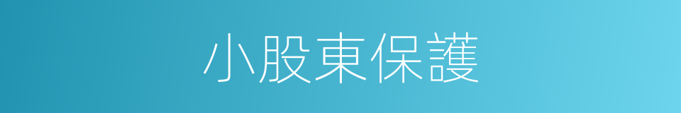 小股東保護的同義詞