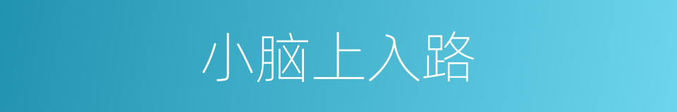 小脑上入路的同义词