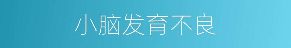 小脑发育不良的同义词