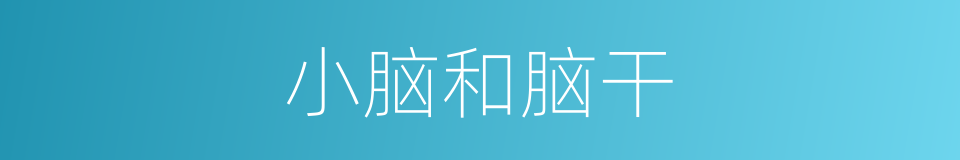 小脑和脑干的同义词