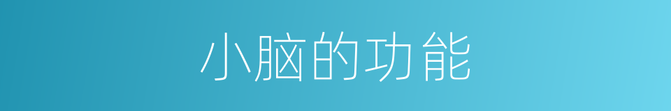 小脑的功能的同义词