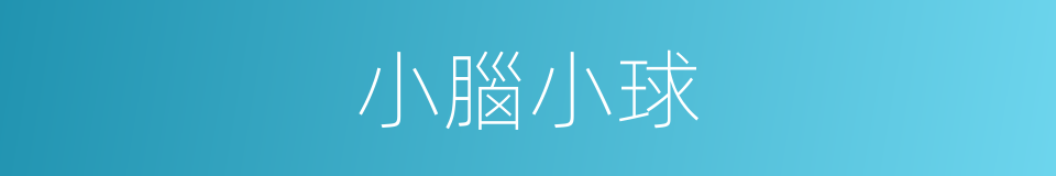 小腦小球的同義詞