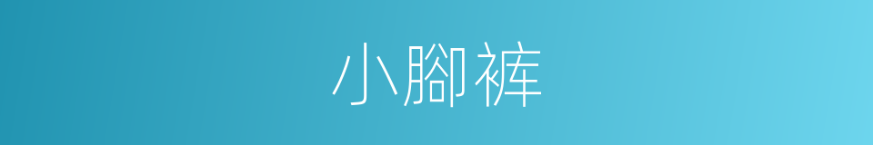 小腳裤的同義詞