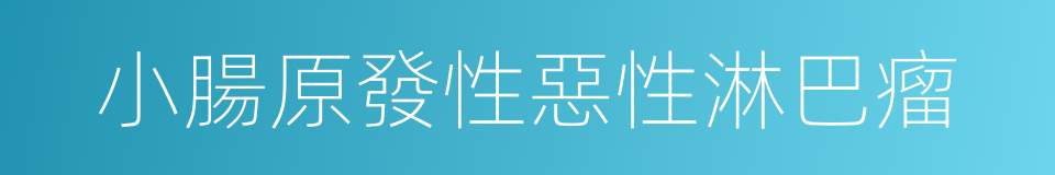 小腸原發性惡性淋巴瘤的同義詞