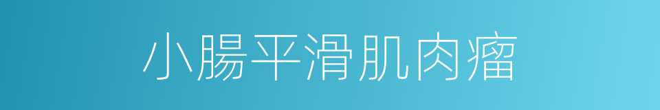 小腸平滑肌肉瘤的同義詞