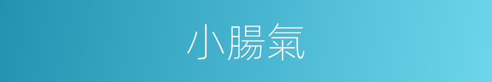 小腸氣的意思